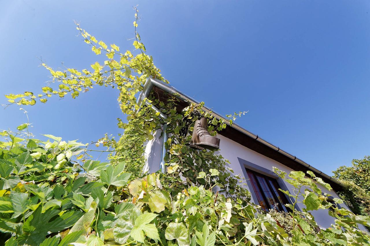 Bed and Breakfast Pataky Borporta Tarcal Exterior foto